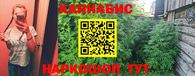 стаф Гагарин