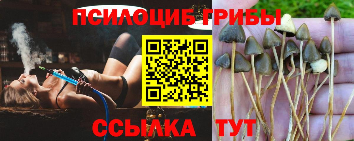 Галлюциногенные грибы мухоморы  Вход с VPN  Муравленко 